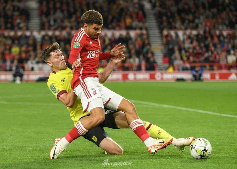 塞鸟无论在 塞鸟无论在