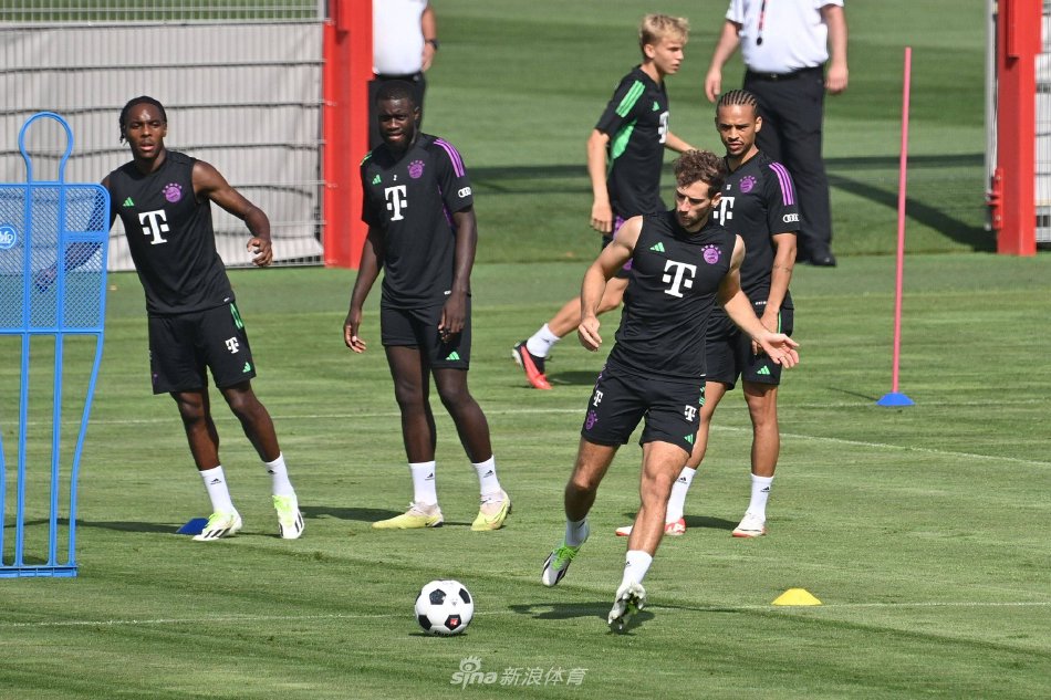 黄金组合 黄金组合